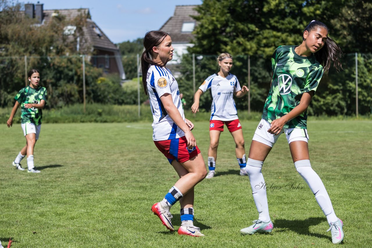 Bild 233 - wBJ Hamburger SV - VfL Wolfsburg : Ergebnis: 5:1